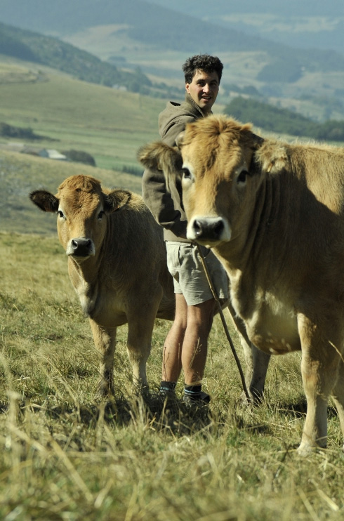 07 - Ferme Aubrac du Terroir de Bouton (Desaignes 07570, Ardèche) Vente directe de viande Aubrac à la ferme  Livraison de colis de viande bovine Aubrac en Ardèche, Drôme, Isère, Haute Loire